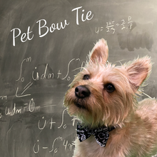 Load image into Gallery viewer, Science Pet Bow Tie
